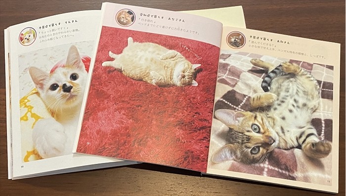 写真集を手にしてお年寄り同士で「可愛いね」と話したり、ヘルパーさんに「見てこの子」と話したりして皆にこにこ。そんな光景が浮かびます（へそ天プロジェクト提供）