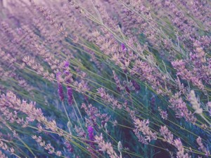 恋愛コラムを貪るように読んでいた私が「邪魔すんな！」と思えるまで