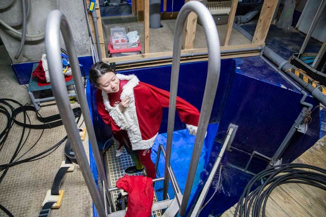 水族館のバックヤード。ここからサンタ衣装を着て潜る
