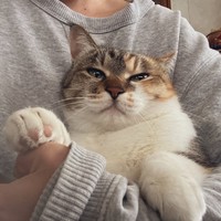 だっこしてもらいました（画像提供：linoさん）