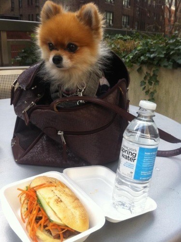 ニューヨークではランチもシュクレと一緒に