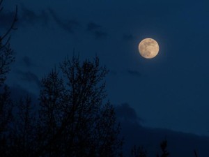 突然の辞令で向かった宇都宮の隣町。この町が私を成長させてくれた