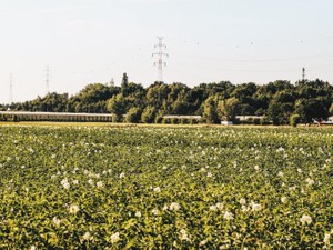 私を支えてくれているのに…自分の劣等感を「田舎」のせいにしていた
