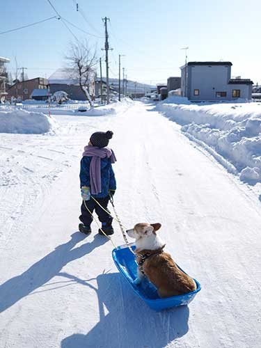 ノエさん、ちょっと緊張気味