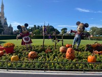 スペシャルイベント「ディズニー・ハロウィーン」開催中の東京ディズニーランドパーク内の様子。仮装でのINに気分もますます上がります（kihiro.tさん提供）