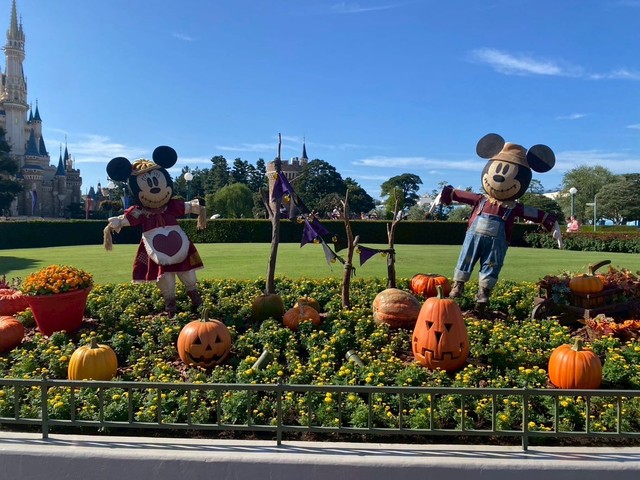 スペシャルイベント「ディズニー・ハロウィーン」開催中の東京ディズニーランドパーク内の様子。仮装でのINに気分もますます上がります（kihiro.tさん提供）