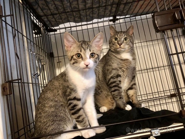 奥にいても先輩のこの大きさにはビックリ！でも、わちょさんは最初から仲良し