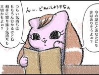 完全に被害者ではないことを指摘（お招き猫のまたたびさん提供）