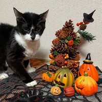 写真は嫌いだが、この日は飛び入り参加