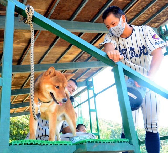 敦賀気比の大島正樹主将（右）と小哲。監督から1文字取って名付けられたという=2021年7月23日午前9時25分、福井県敦賀市沓見、柳川迅撮影