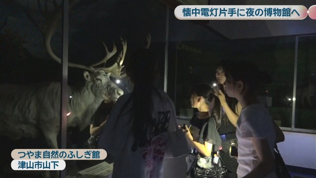 つやま自然のふしぎ館　津山市山下