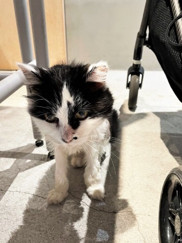 トライアルに出発。「ここでの暮らし、楽しかったわ」（けいさん提供）