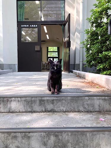 すみかだった大講義室の前に座る斎藤さん＝まちかねこ調査隊提供