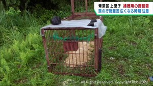 熊の被害が続く仙台・青葉区上愛子に捕獲用の罠を設置
