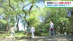 ストレス軽減などに期待　森林浴の効果を体験するツアー　仙台・青葉区