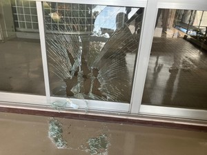 【続報】仙台・若林区にイノシシ出没　高校の窓ガラス突き破る　けが人無し　通行人と衝突　車破損の通報も