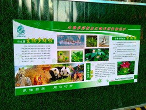 COP15、昆明で開幕　米国が不参加の生物多様性条約、中国の舵取りに注目