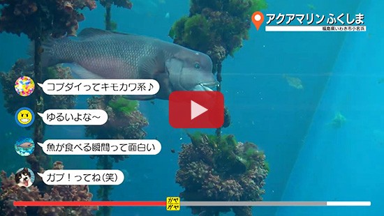 #124アクアマリンふくしま④