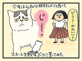 子猫　スカートに刺激される狩り心　やっぱ、猫じゃけぇ(28)