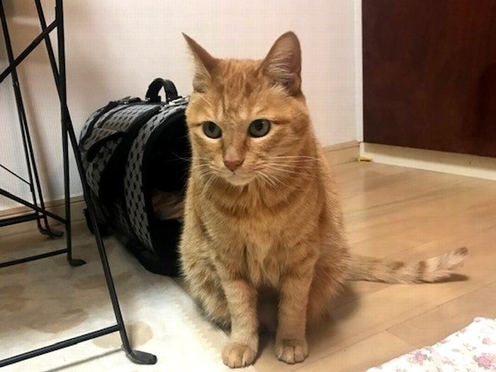 自分の居場所が分からず、やっぱり緊張ぎみ