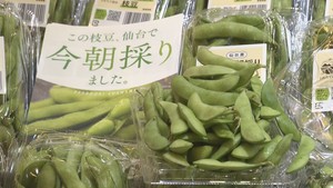 朝に採れたばかりの枝豆を販売　みやぎ生協の各店舗