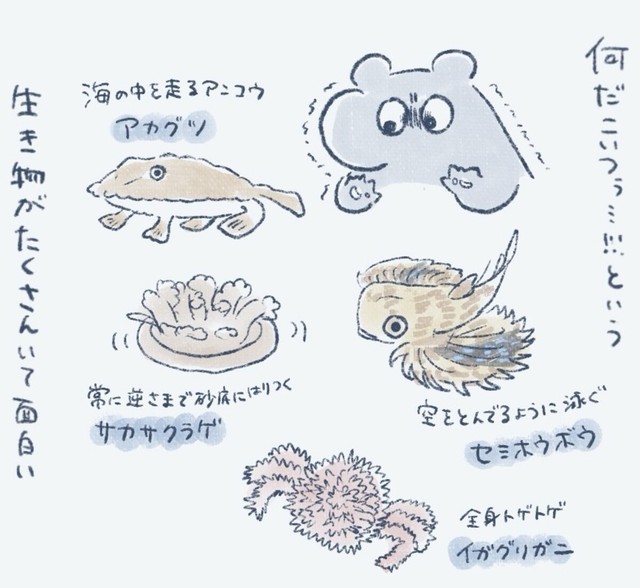 深海には変な生き物だらけ（バク・タダノさん提供）