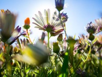 留学経験を活かせなくてもいい。人生に彩りを添える経験に意味がある