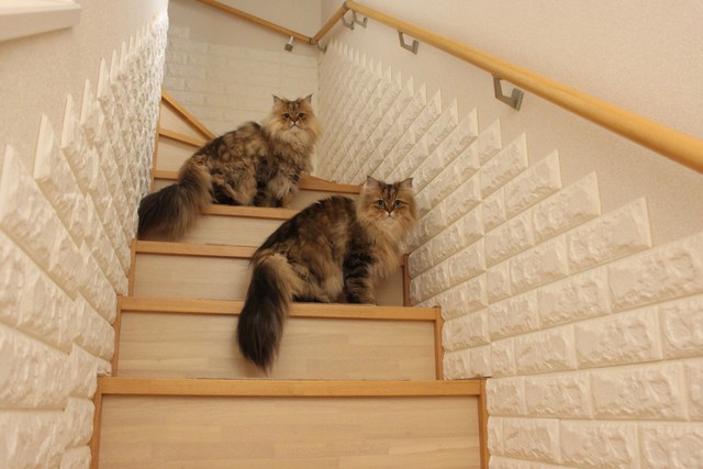 お、何だ？見慣れねえ男だな…客か？