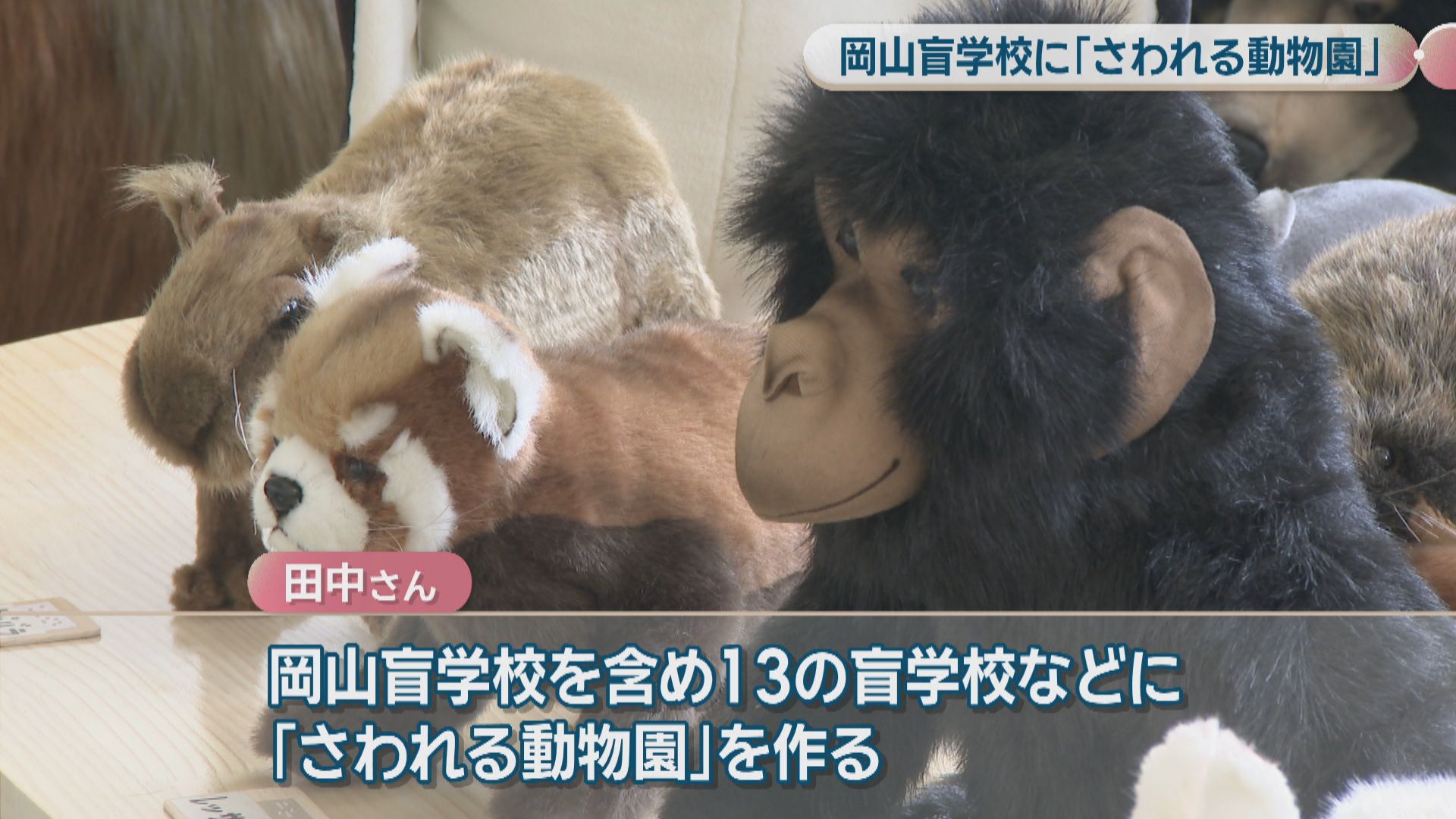 盲学校に「さわれる動物園」が開園 障害者支援などに取り組む男性が
