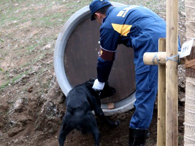 国内最大規模、警視庁の警察犬訓練所が東京都内に完成