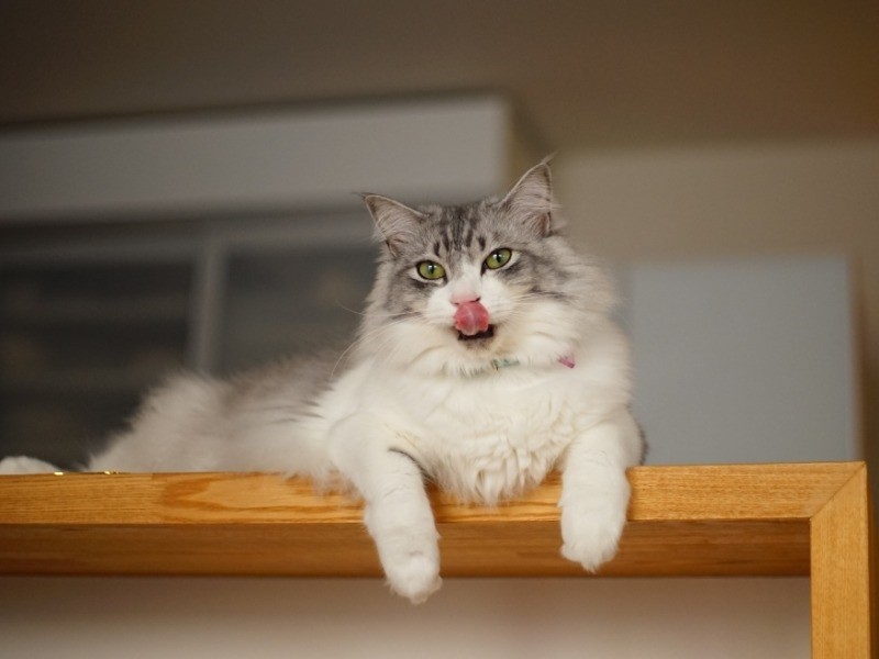 ごはんもたくさん食べて