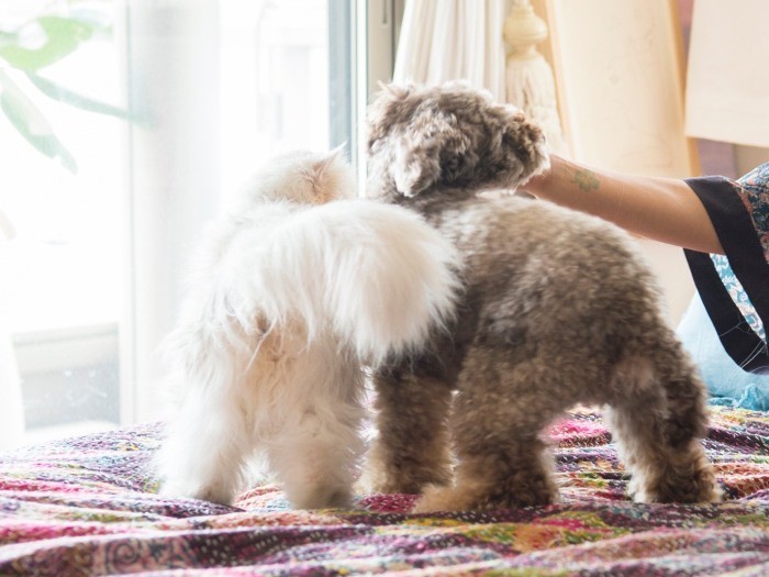 「なこちゃんとダンちゃんとママと。“三人”これからずっと一緒」（撮影＝砂川文さん）