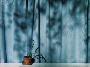 憂鬱な日々を生き抜く支えだったのに…私は彼の命を奪ってしまった