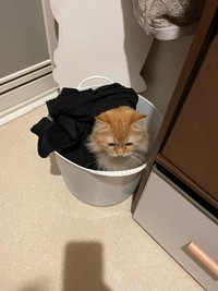 以前は私も入っていました（提供写真）