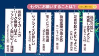 七夕にお願いすることは？【みんなに聞いてみた】