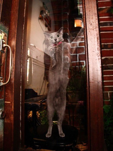 「明日も明後日も来てね♡」