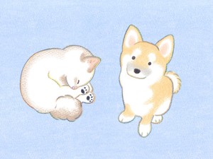 『保護犬と、保護猫と。 必然の出会いで結ばれた物語』表紙イラストより（©てらおかなつみ）