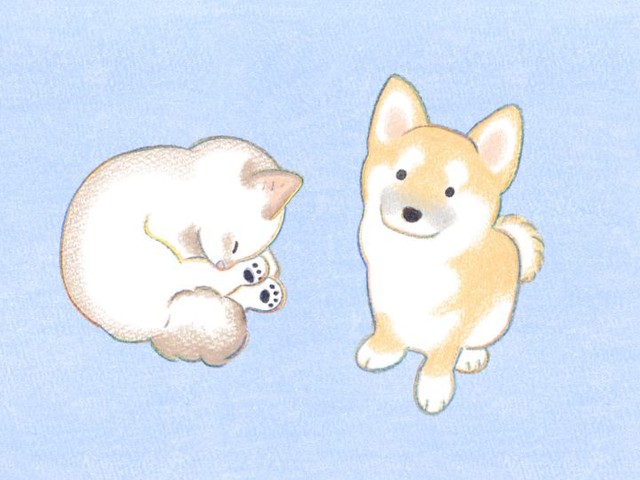 虐待を受けた保護犬と非行少年との絆に涙……27匹の保護犬＆保護猫と人間
