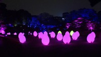 チームラボが作る“触れて楽しむ”光のアート空間　名勝・栗林公園を「ちょっと違う表情」に　高松市