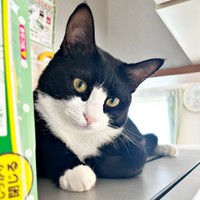 1歳を迎えためいちゃん（画像提供：奈神さん）