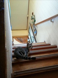 2日目のみうちゃん。探検開始。