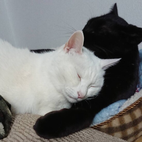 陽が結を腕まくら（みゆきさん提供）