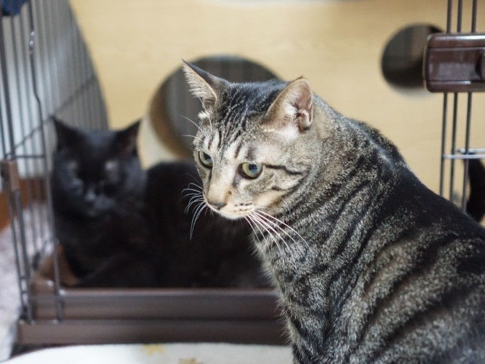 そこ、オレの場所なんだけどな