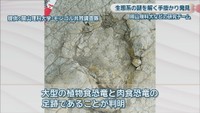 提供：岡山理科大学・モンゴル共同調査隊