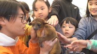 しろとり動物園の動物が高松市の公園に　子どもたちがキンカジューなどと触れ合う