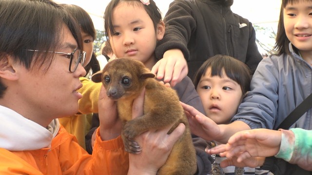 しろとり動物園の動物が高松市の公園に　子どもたちがキンカジューなどと触れ合う