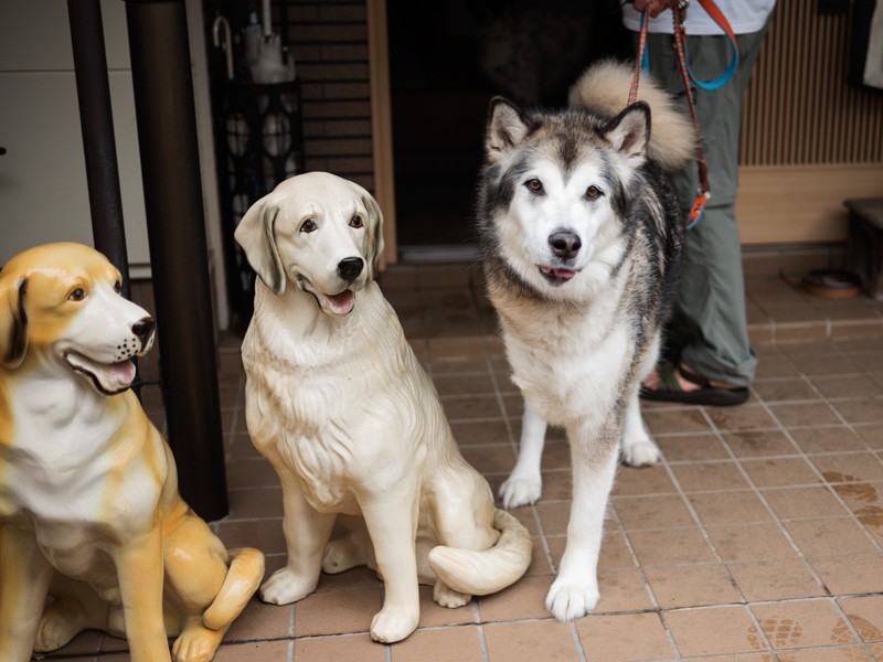 「みんな、おじさんが写真撮ってくださるって」（小林写函撮影）