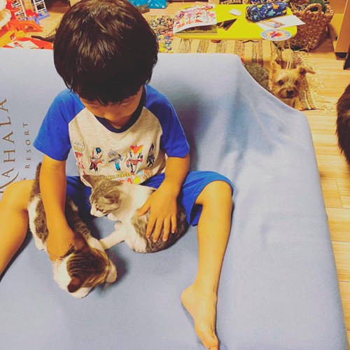 まだ小さい。保護主さんからお借りした写真