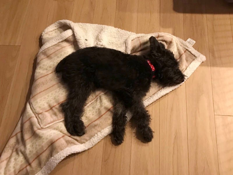 全然寝てくれないと言われていたダリルくんのこのリラックスぶり。すべてはご家族の努力のたまもの（お母さん提供）