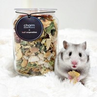 やっぱりおいしい！ おやつを食べるまろちゃん（画像提供：まろとsaeさん）